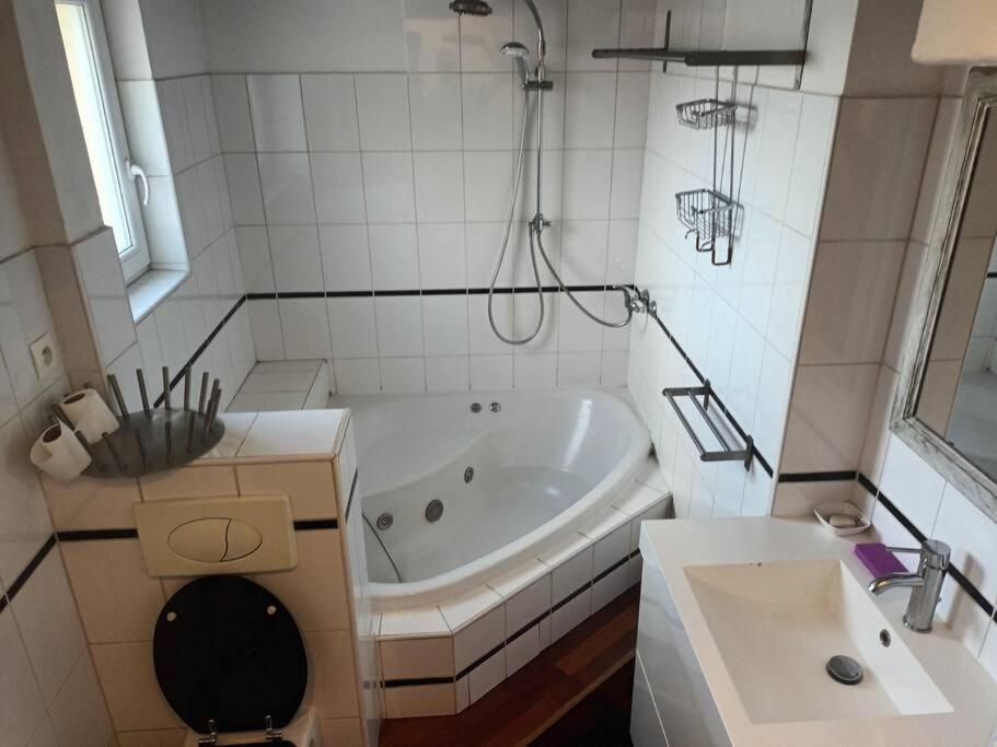 Le Schauenberg Daire Colmar Dış mekan fotoğraf