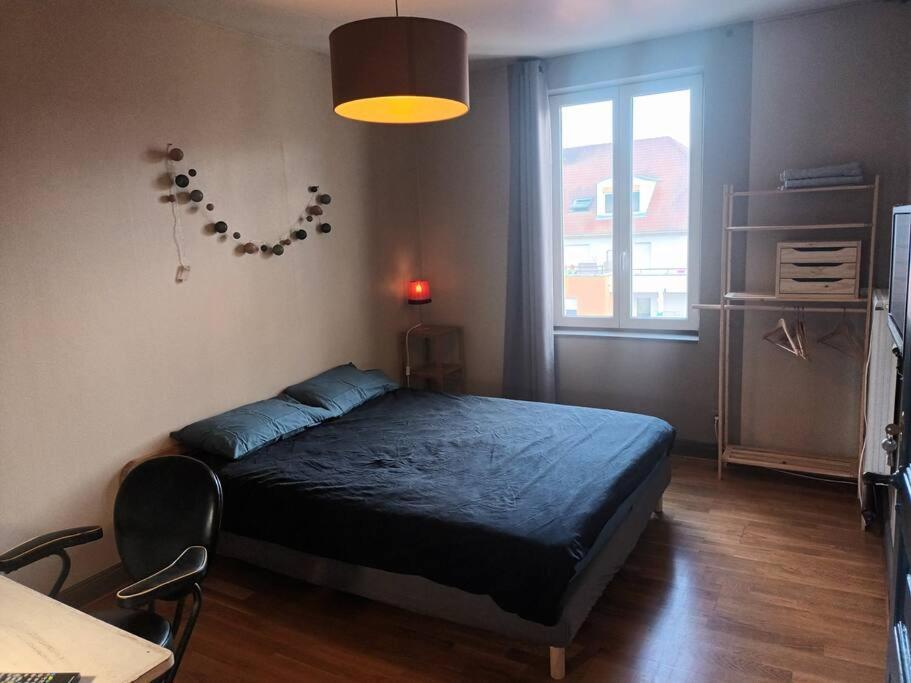 Le Schauenberg Daire Colmar Dış mekan fotoğraf